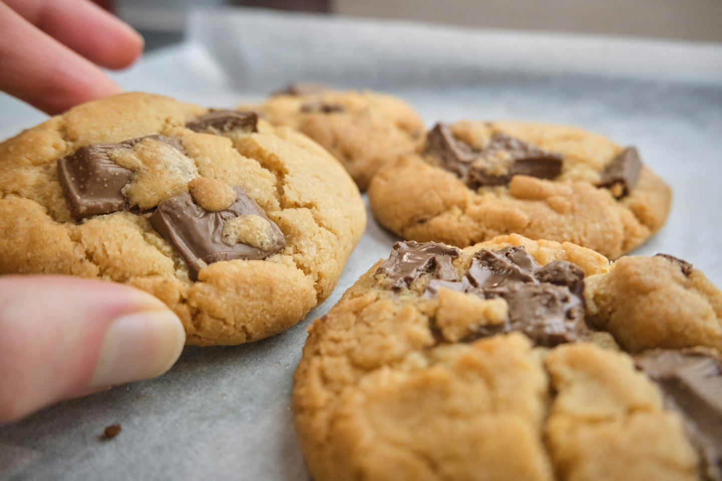 A hand reaches for a freshly baked chocolate chunk cookie.